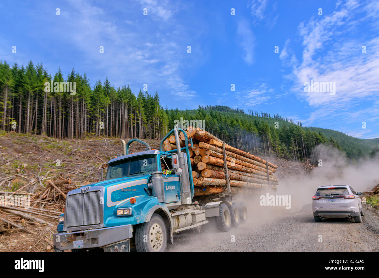 Timber transport in the rainforest of Vancouver Island. 90% of the ...