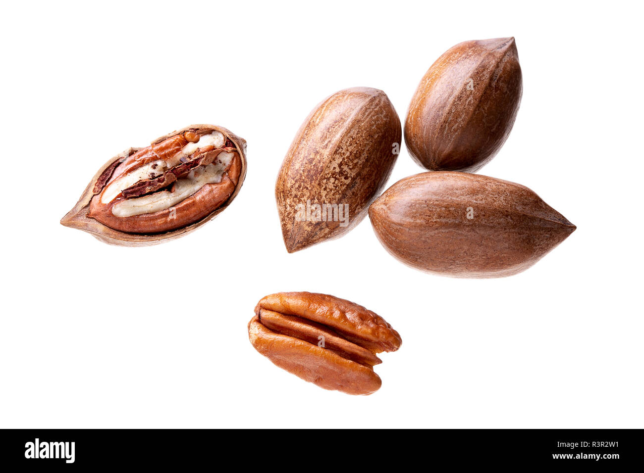 Pecan nuts isolated on white background. Carya illinoinensis Stock Photo