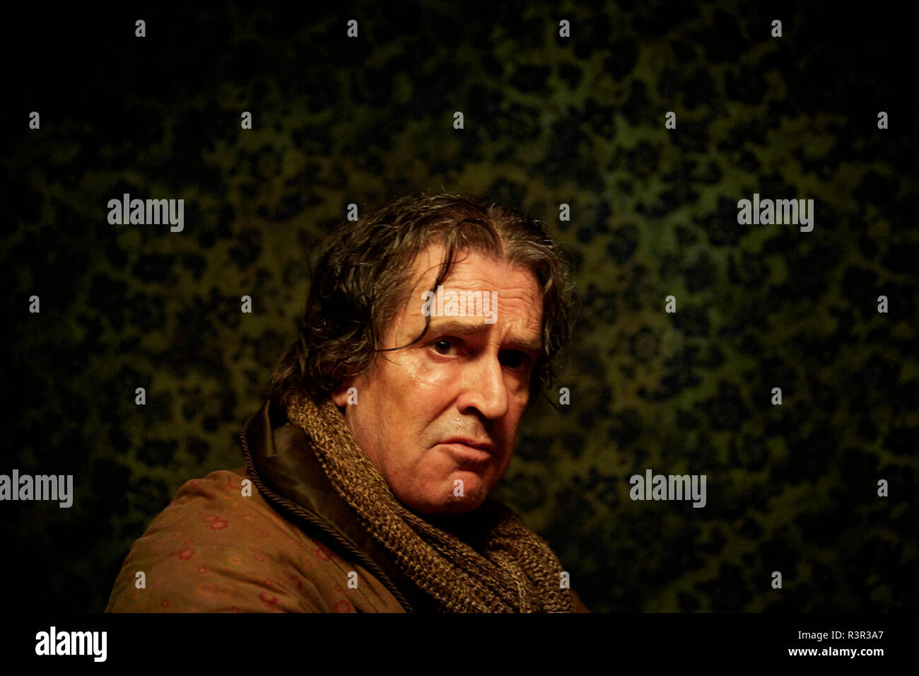 Prod Db Maze Pictures Entre Chien Et Loup Palomar