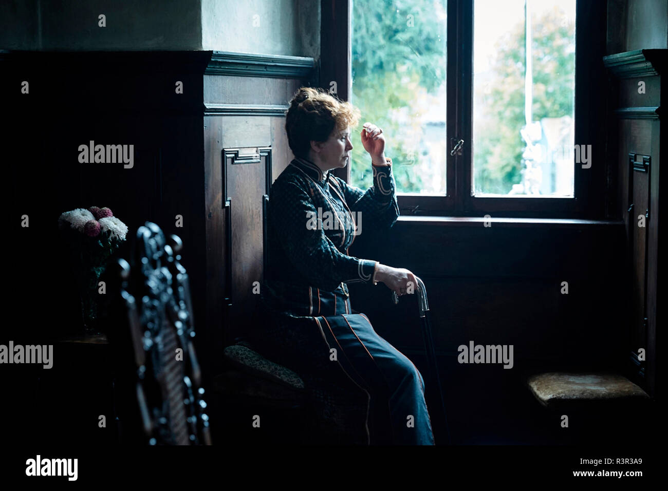 Prod Db Maze Pictures Entre Chien Et Loup Palomar