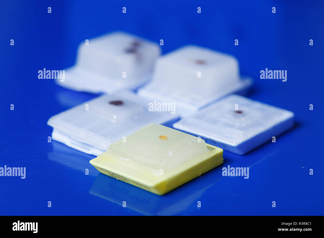 Microscopy samples embedded in paraffin. Stock Photo