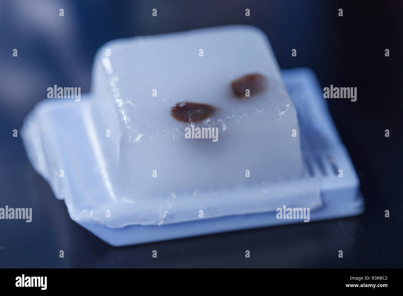 Microscopy samples embedded in paraffin. Stock Photo