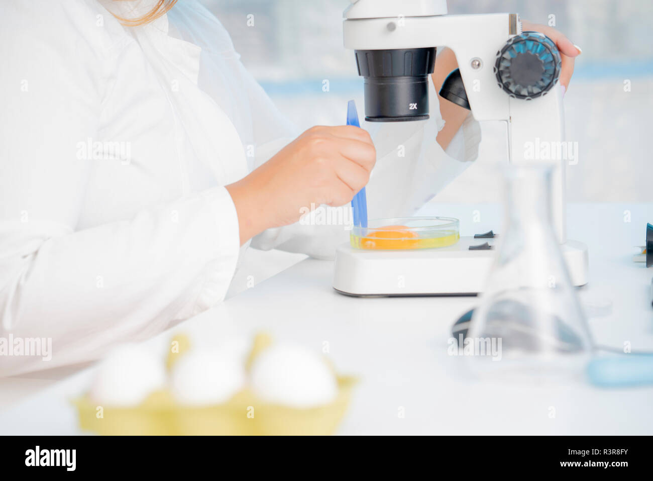 Food research conceptual image hi-res stock photography and images - Alamy