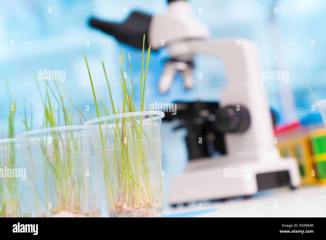 Agriculture research, conceptual image. Stock Photo