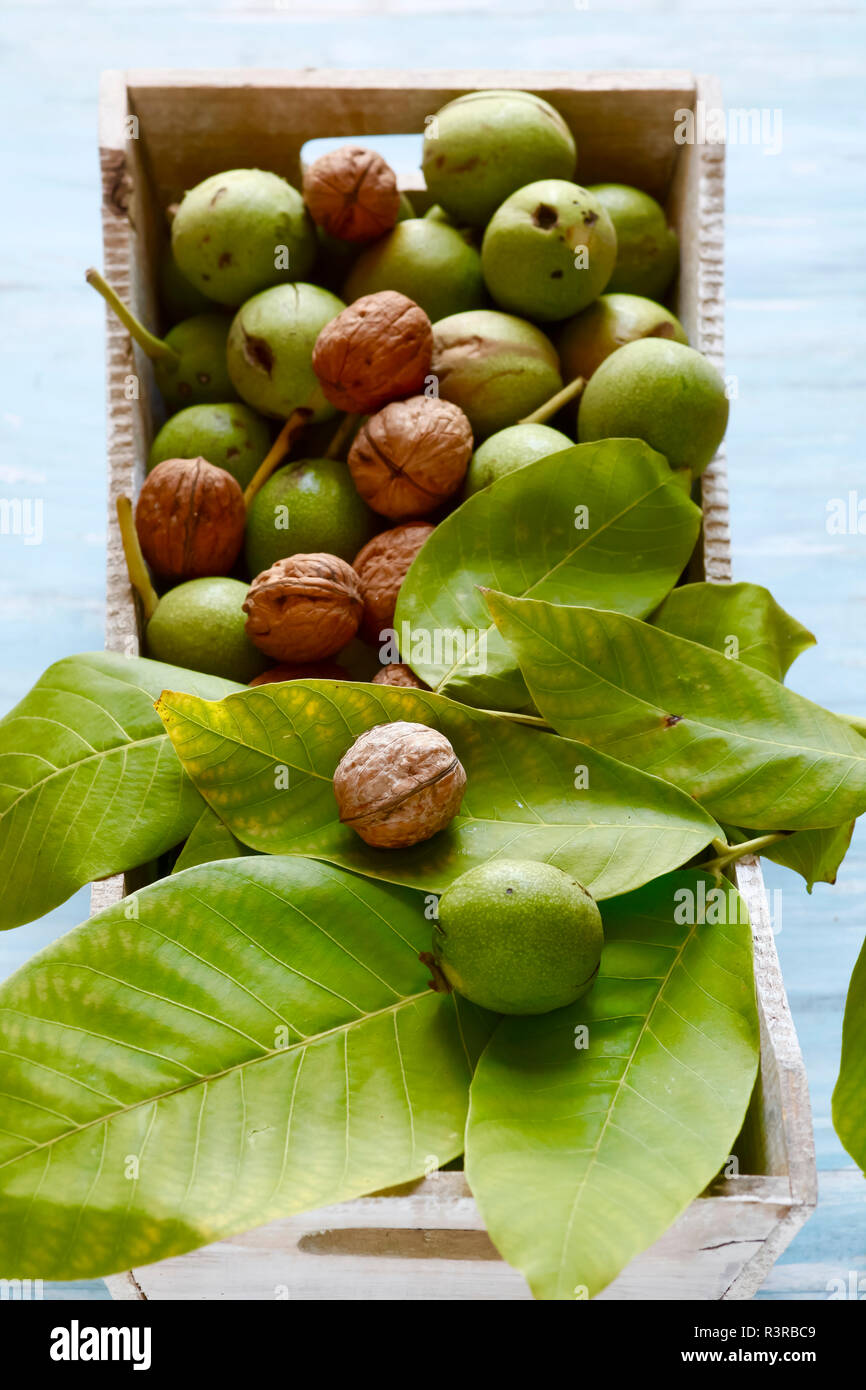 Peeled and unpeeled walnuts in wooden box Stock Photo