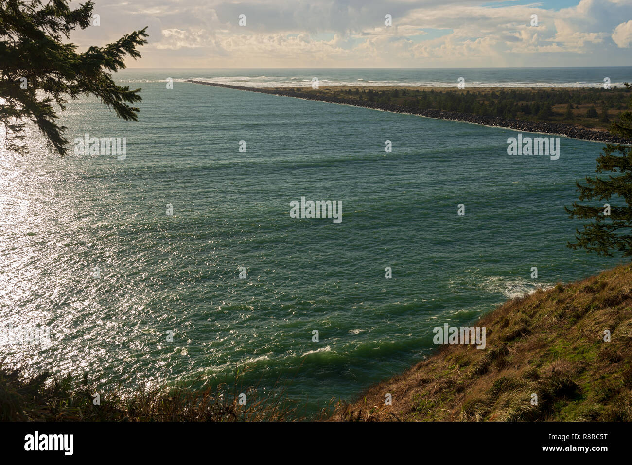 Waikiki Beach Cape Disappointment State Park