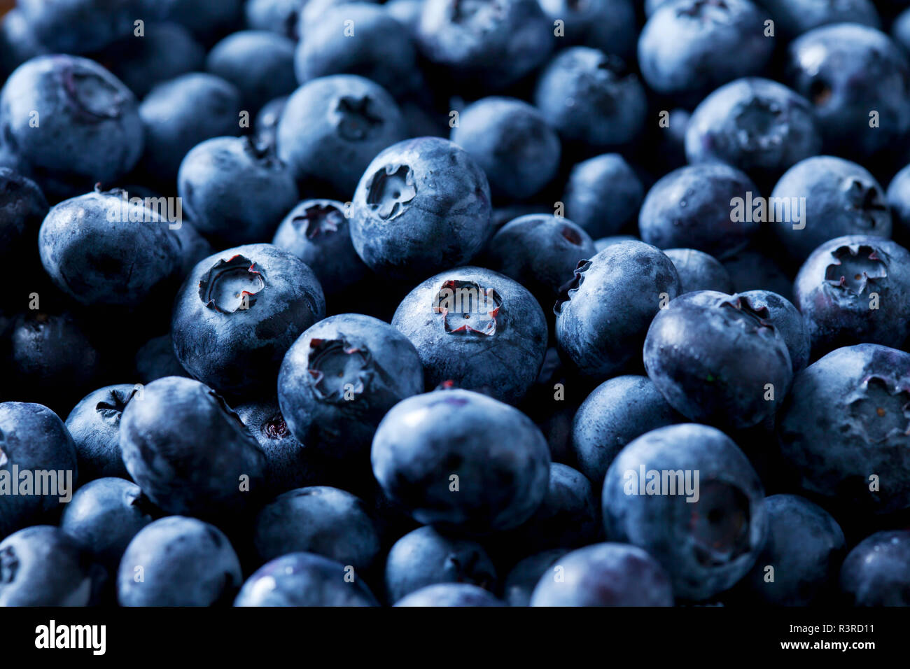 Blueberries, close-up Stock Photo