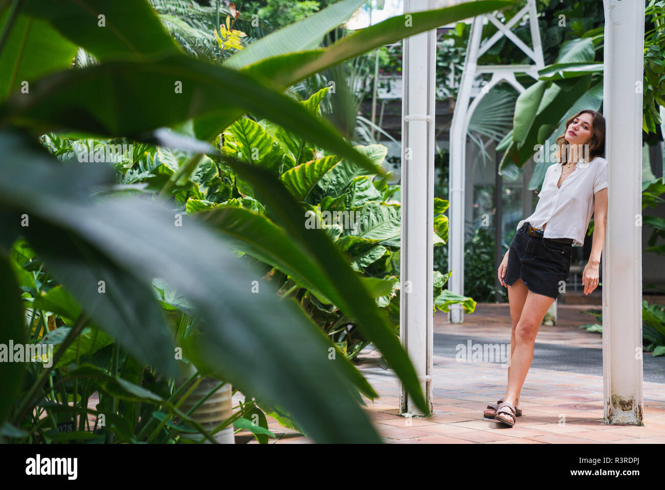 Lean to greenhouse hi-res stock photography and images - Alamy