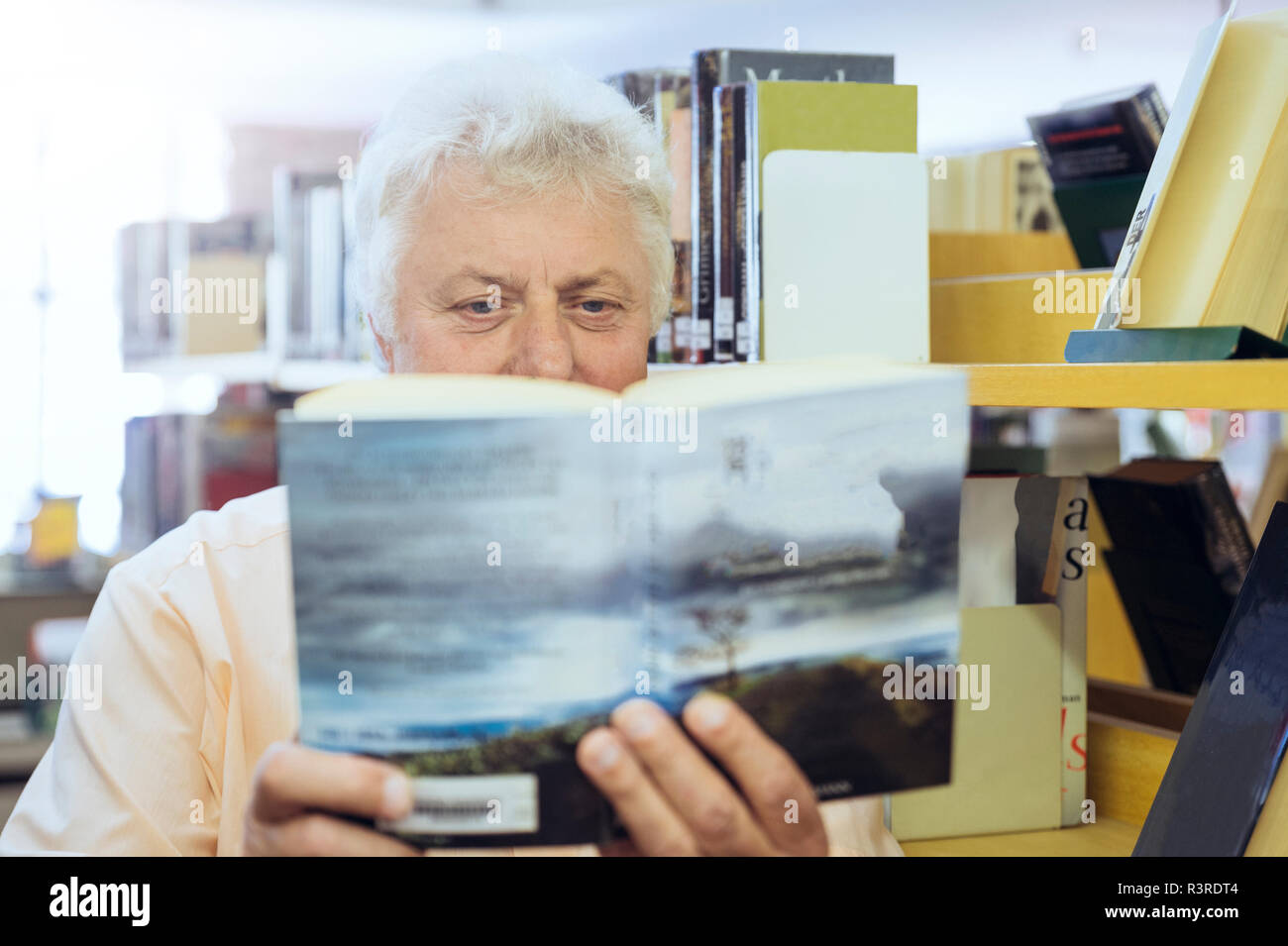 Lesender Senior in einer Bücherei. Grevenbroich, Nordrhein-Westfalen, Deutschland Stock Photo