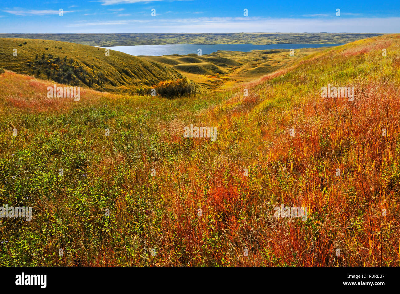 Canada, Saskatchewan. Badlands around Lake Diefenbaker in autumn. Stock Photo