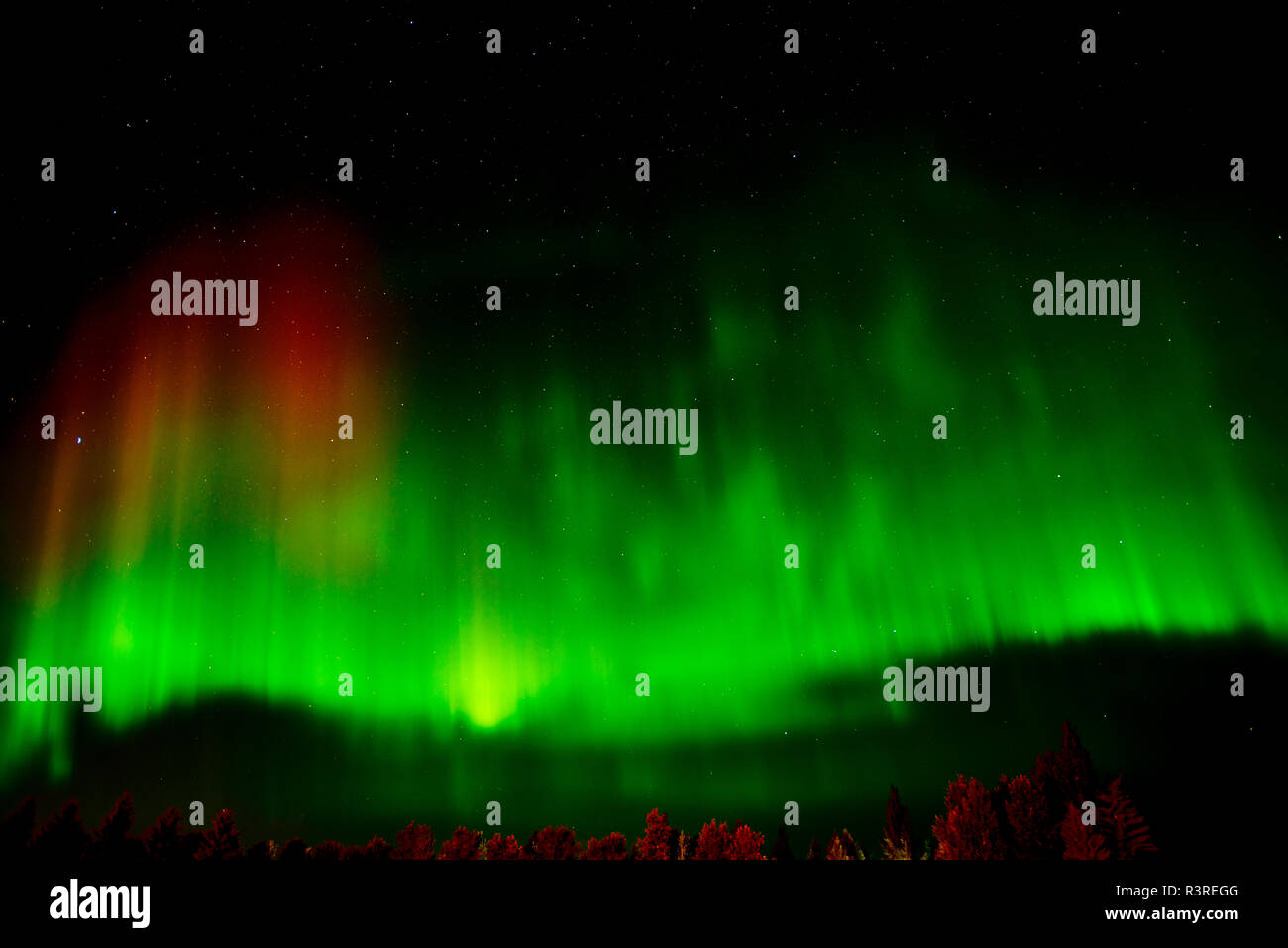 Photos: Intense aurora borealis lights up northern skies - Sudbury News