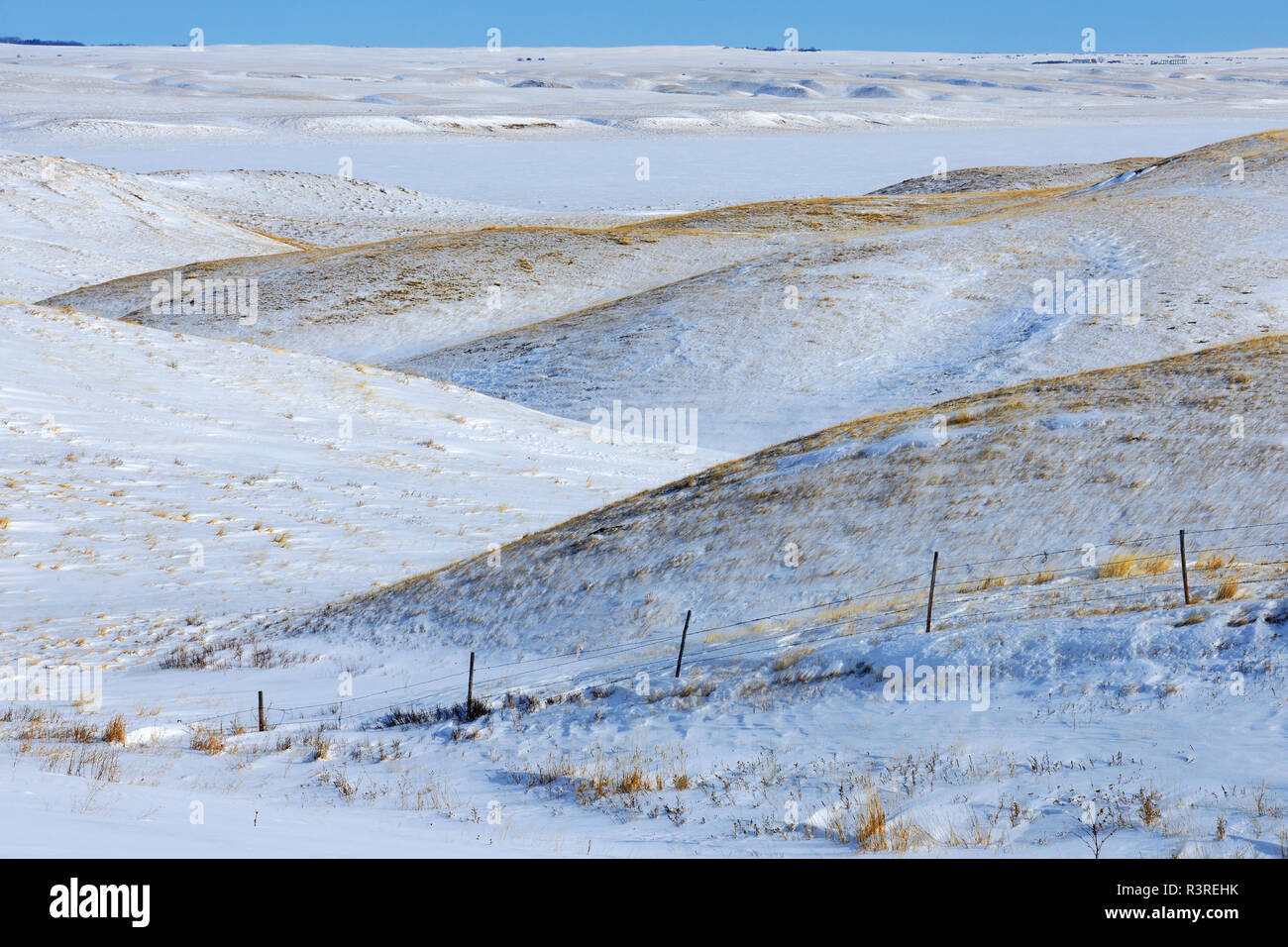 Canada, Saskatchewan. Winter landscape on hills. Stock Photo