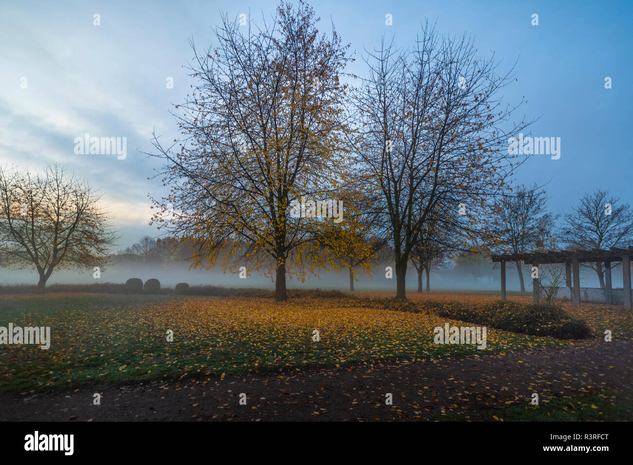 Tiefer Nebel im Herbst über der Wiese | Leipzig Silbersee Stock Photo