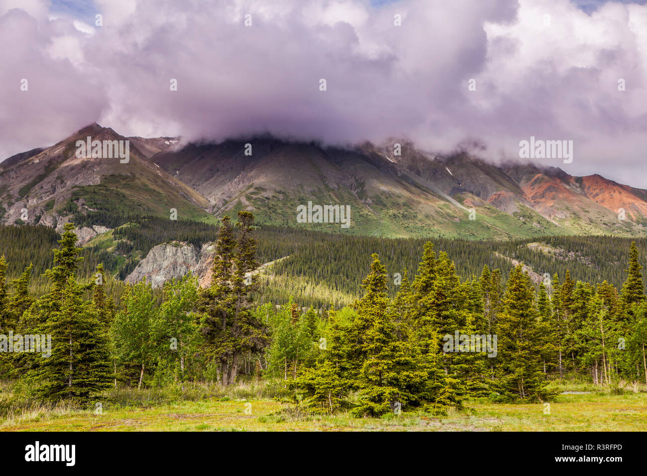 Canada, Yukon Territory, Destruction Bay, Kluane National Park and