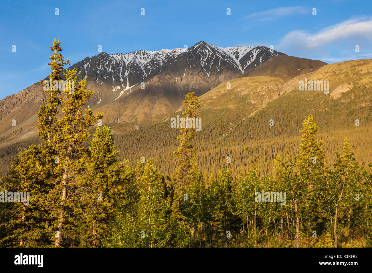 Canada, Yukon Territory, Destruction Bay, Kluane National Park and