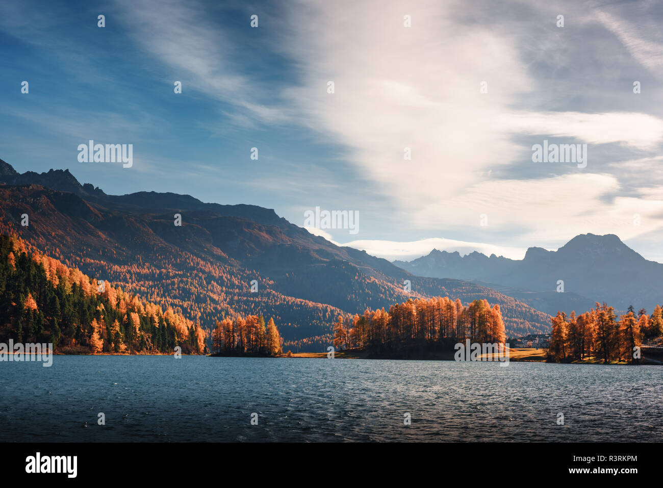 Picturesque view on autumn lake Silvaplana in Swiss Alps. Colorful forest with orange larch and snowy mountains on background. Switzerland Stock Photo