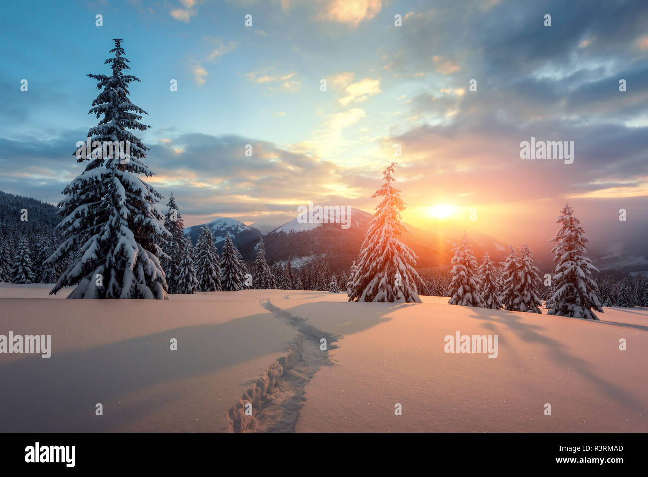 Fantastic orange winter landscape in snowy mountains glowing by sunlight. Dramatic wintry scene with snowy trees. Christmas holiday concept. Stock Photo
