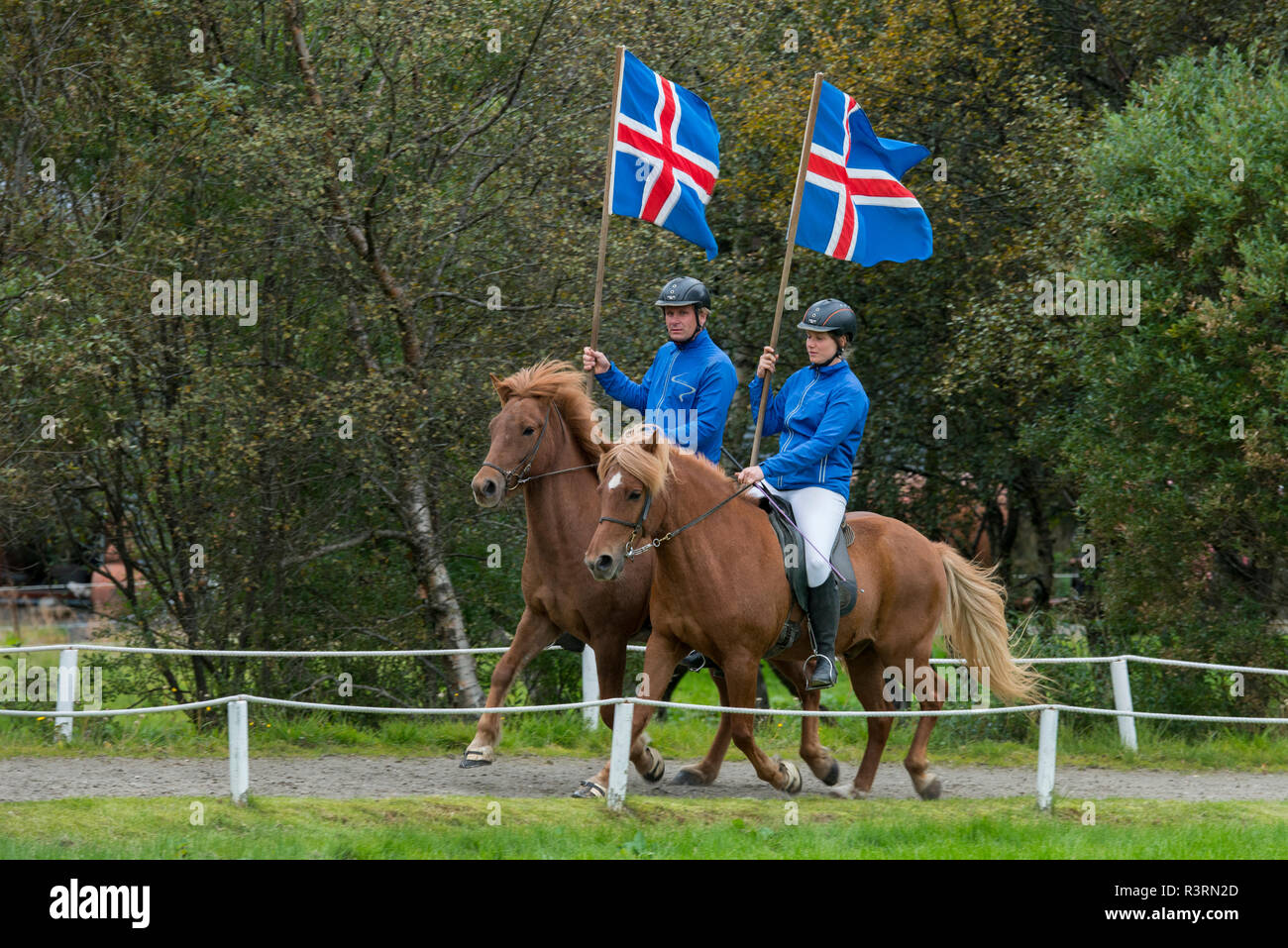 Southwestern Iceland, Reykjavik. Fridheimar, countryside Icelandic horse ranch, horse show. Riders with flags. (Editorial use only) Stock Photo