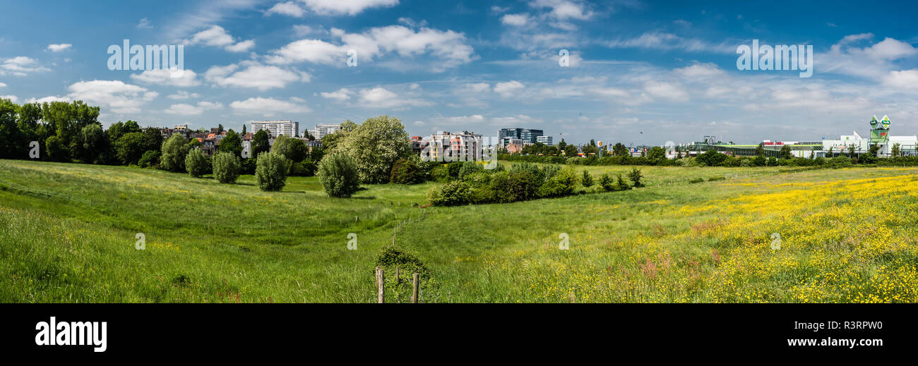 view over green meadows with the citybuildings in the background Stock Photo