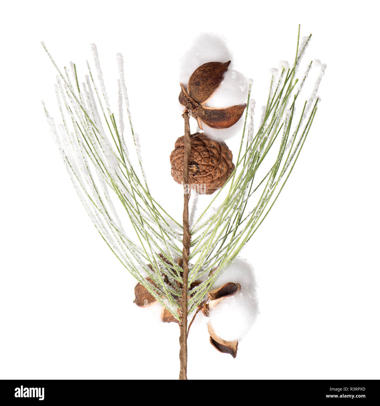Christmas tree branch isolated on white background Stock Photo - Alamy