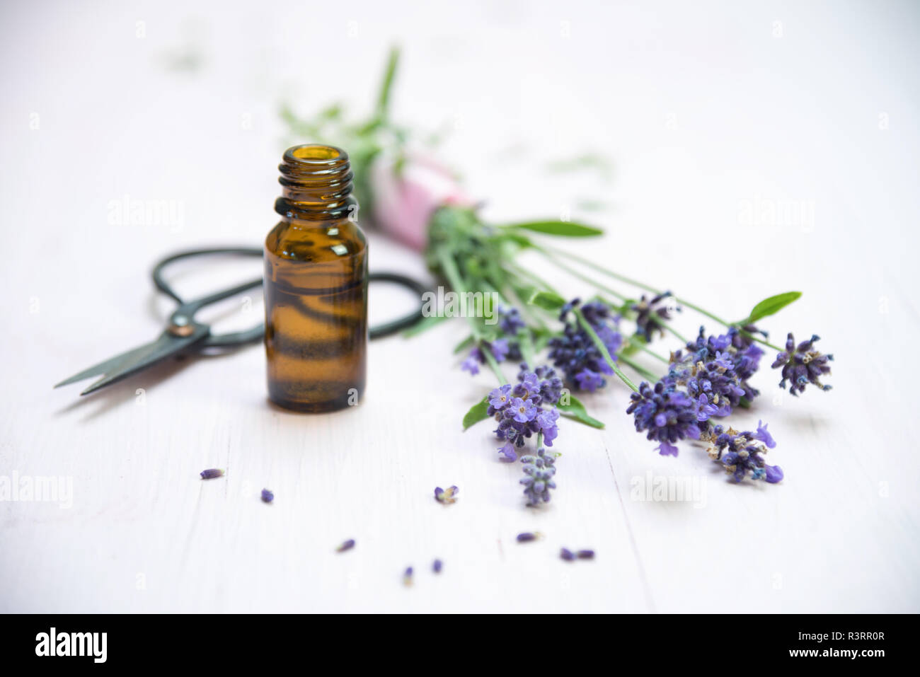lavender flowers, a bottle with essential herbal oil and scissors on white painted wood, copy space, selected soft focus, very narrow depth of field Stock Photo