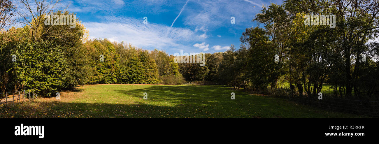 Extra large autumn view over the grass meadows and trees in the Boudewijn city park in Brussels, Belgium Stock Photo