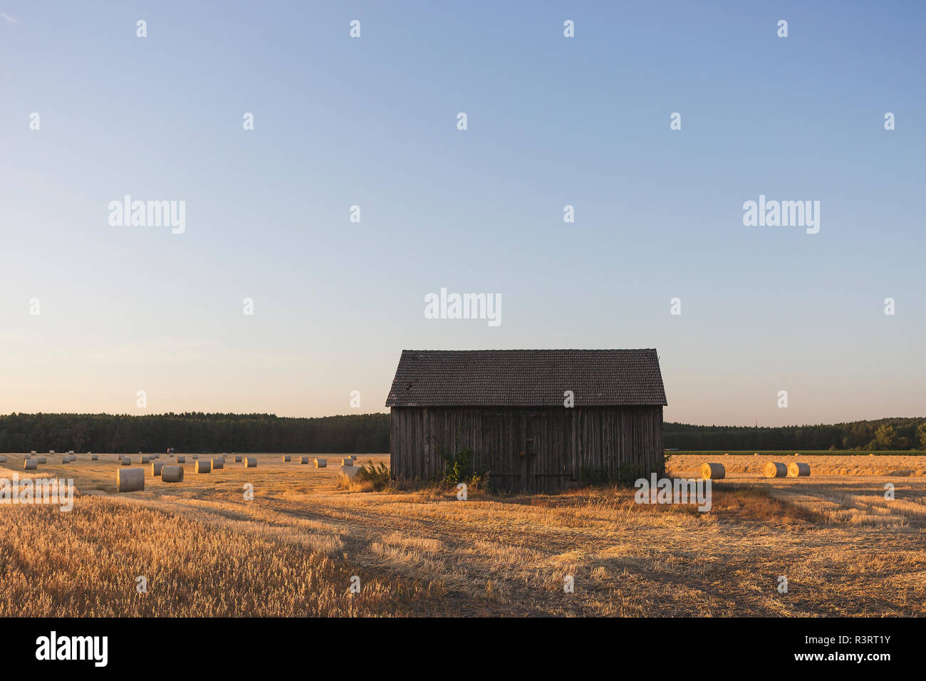 Barn on a field at harvesttime in the evening Stock Photo