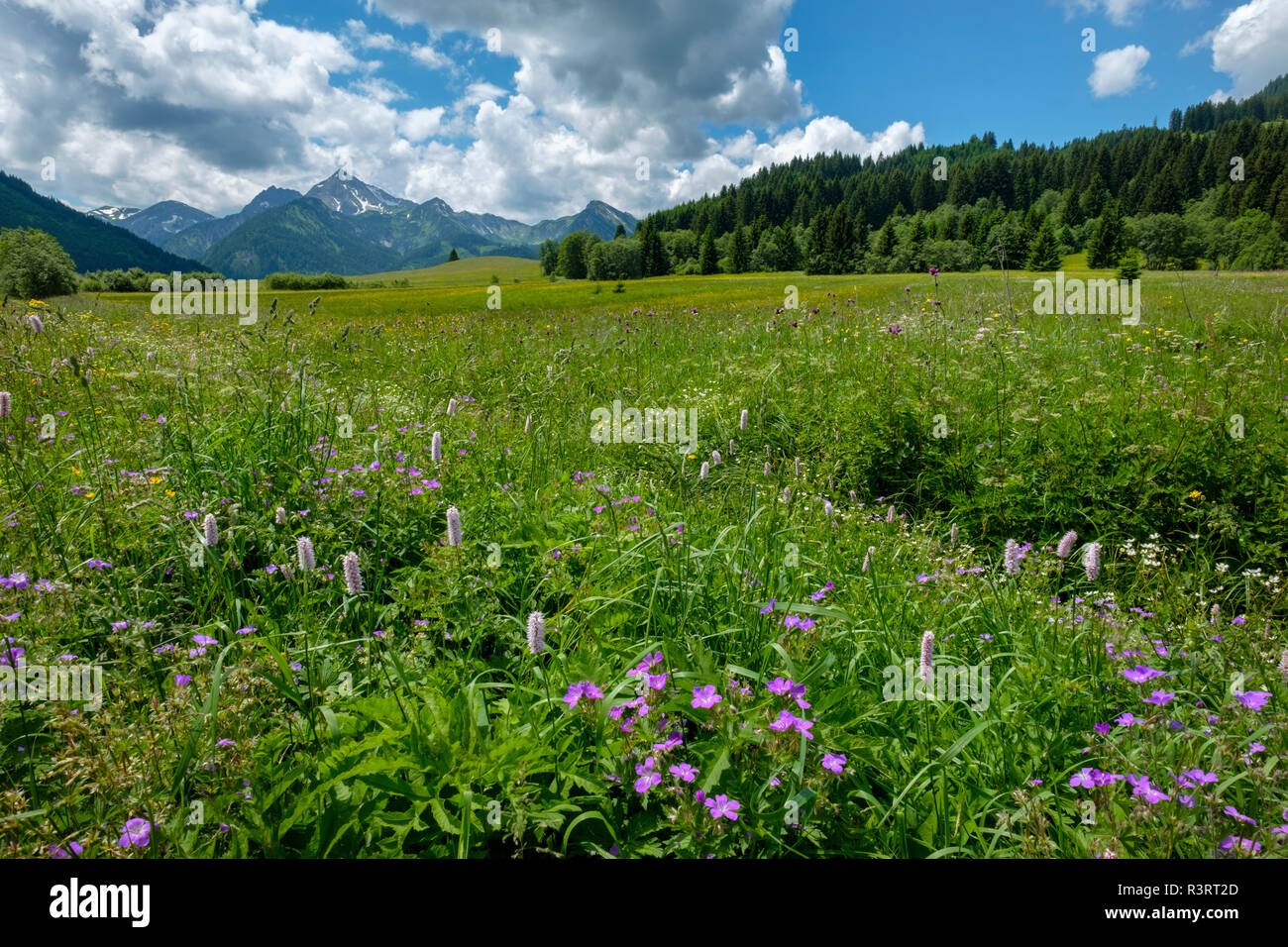 Austria, Tyrol, Tannheim Valley, Stock Photo