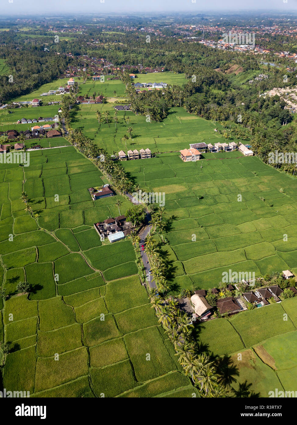 Indonesia, Bali, Ubud, Aerial view of rice fields Stock Photo - Alamy
