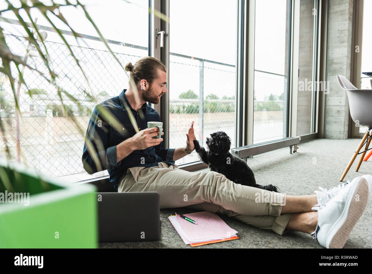 Young businessman with laptop sitting on the floor in office playing with dog Stock Photo