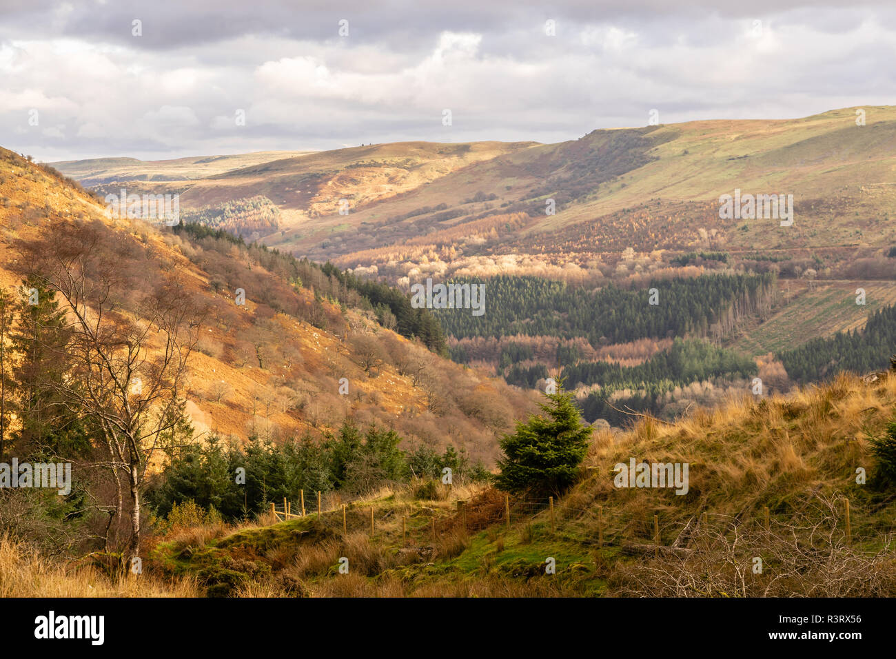 The mountainous landscape around Abercynafon in the Brecon Beacons National Park during autumn, Powys, Wales, UK Stock Photo