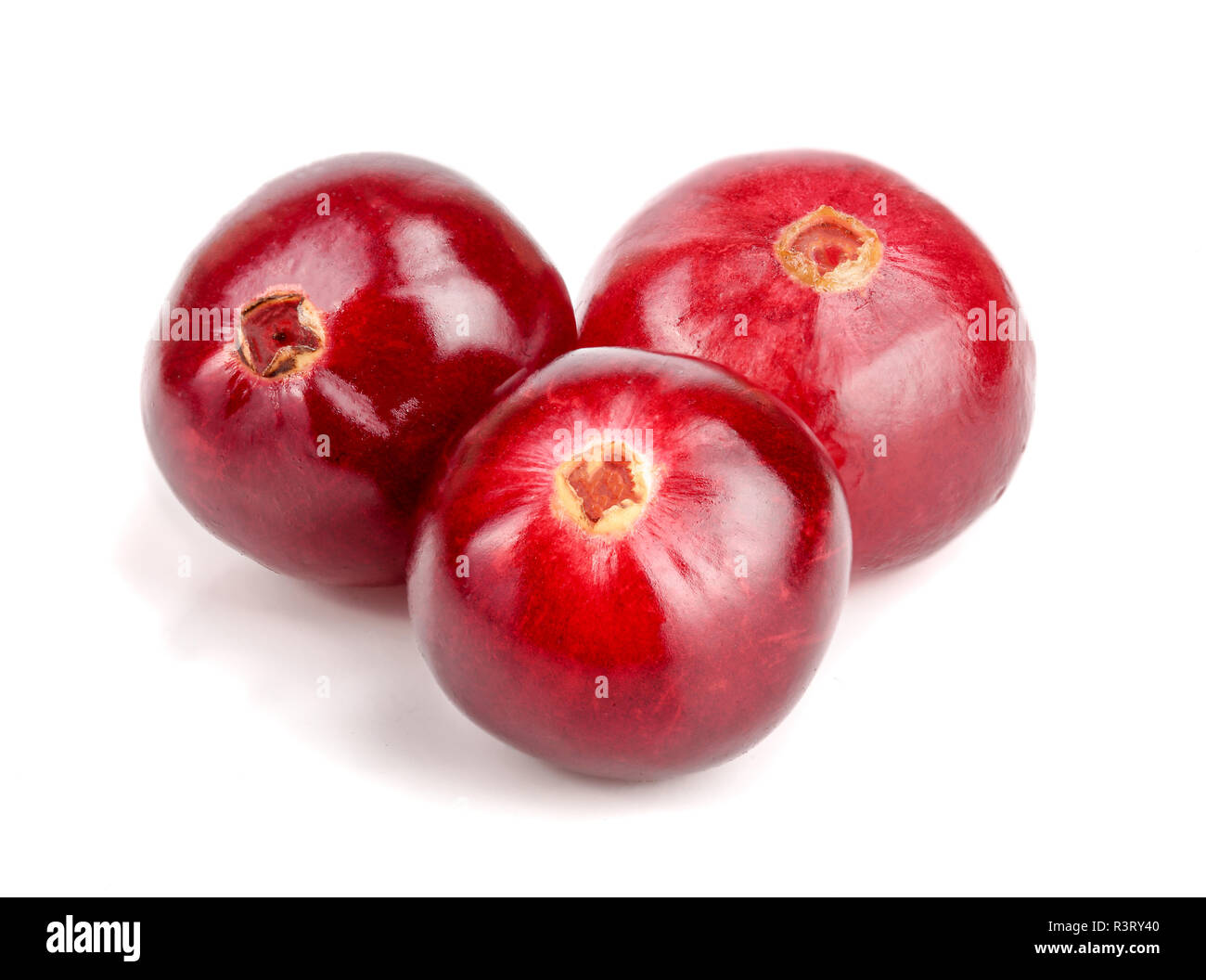 Cranberry isolated on white background closeup macro Stock Photo