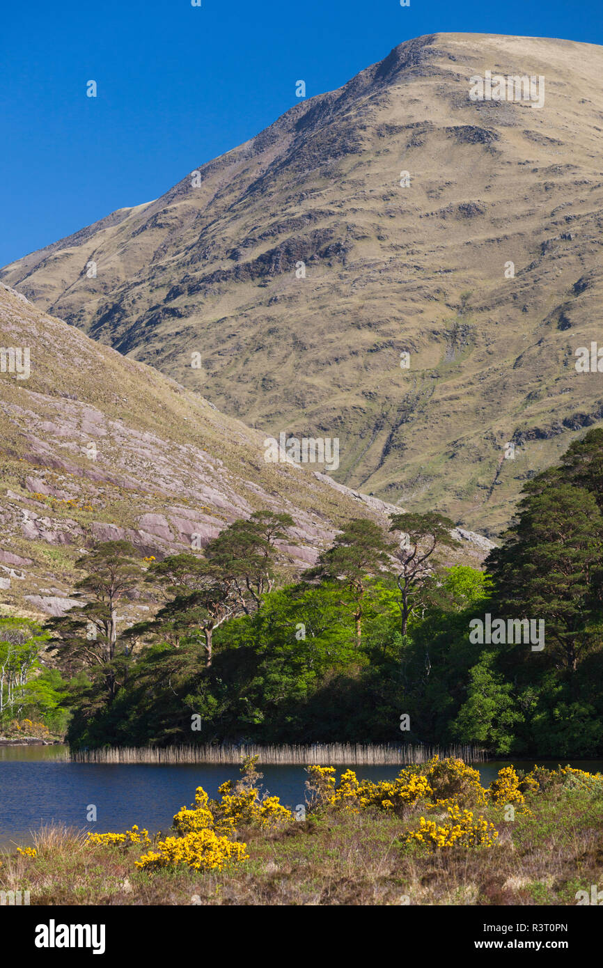 Ireland, County Mayo, Doolough Valley, view of Doo Lough lake Stock
