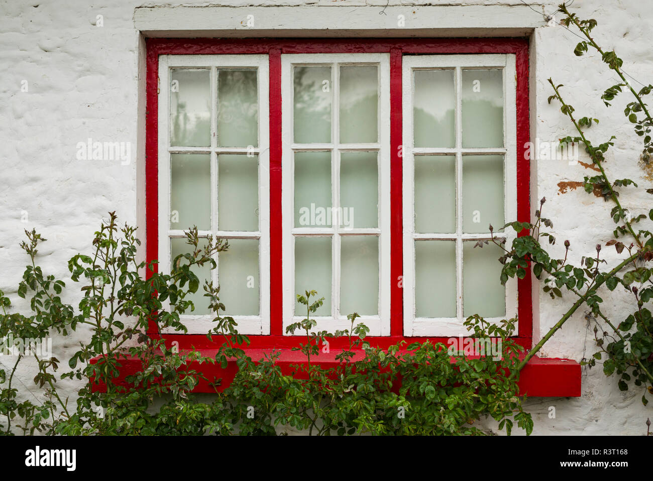 Ireland, County Limerick, Adare, Ireland's prettiest village, cottage details Stock Photo