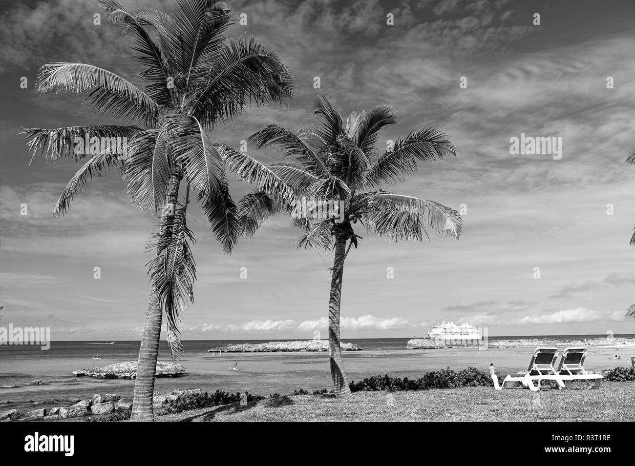 Puerto rico beach palms Black and White Stock Photos & Images - Alamy