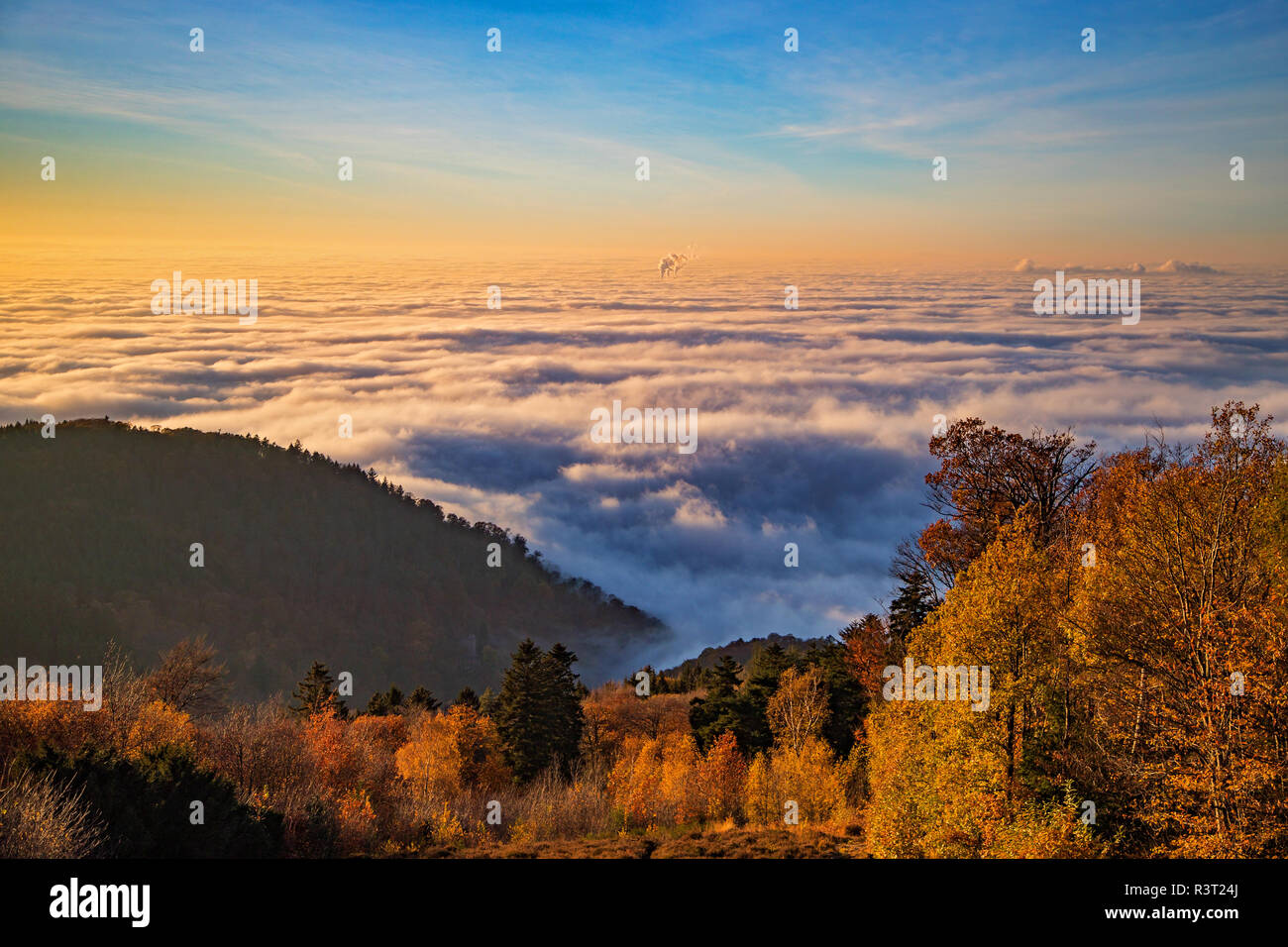 Sea of fog with low-hanging clouds in the Upper Rhine plain seen from the Königstuhl lookout point, Heidelberg, Baden-Wuerttemberg, Germany Stock Photo