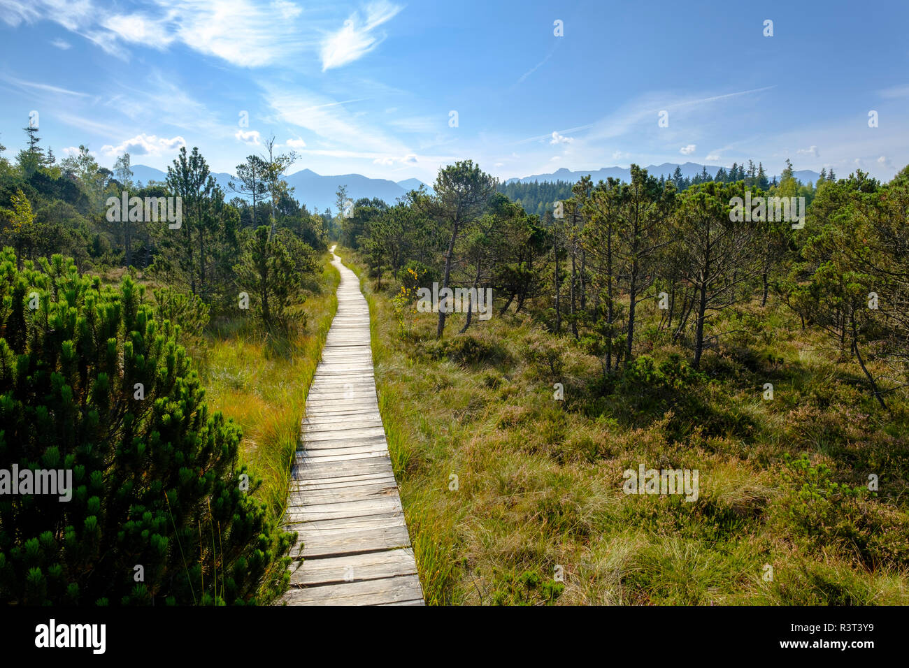 Germany, Bavaria, Murnauer Moos, Wooden plank path Stock Photo