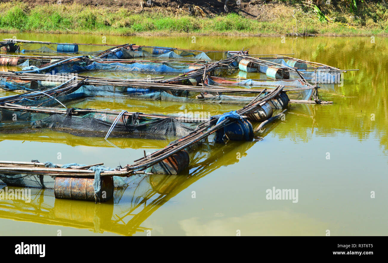 https://c8.alamy.com/comp/R3T6T5/fish-cage-farming-in-the-river-thai-agriculture-fish-farming-float-on-the-surface-freshwater-inland-fisheries-R3T6T5.jpg