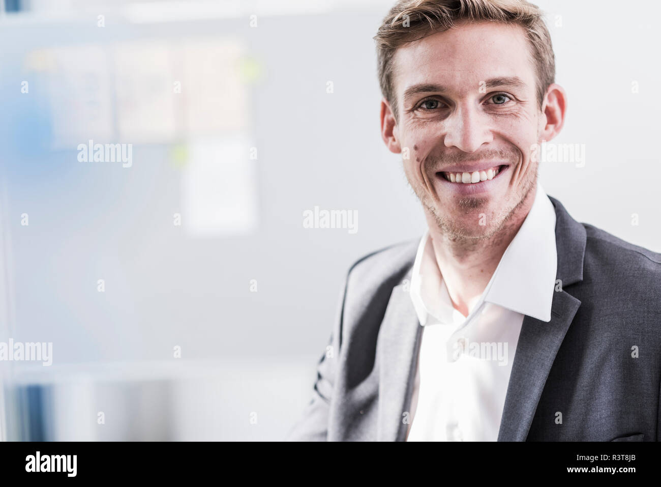 Portrait of smiling businessman in office Stock Photo