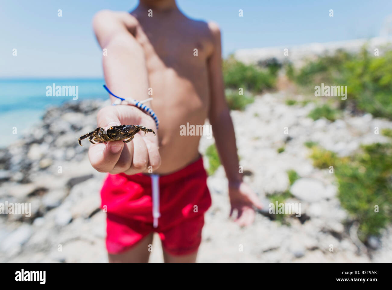 Close-up of boy holding a crab on the beach Stock Photo