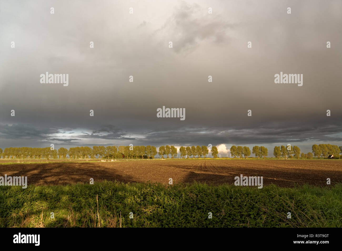 rain clouds in spring Stock Photo