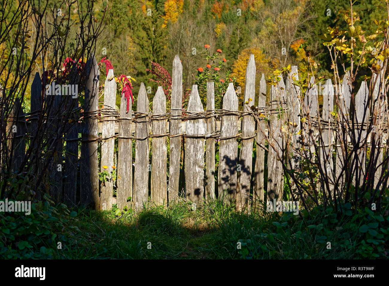 Germany, Bavaria, Upper Bavaria, old wooden fence Stock Photo