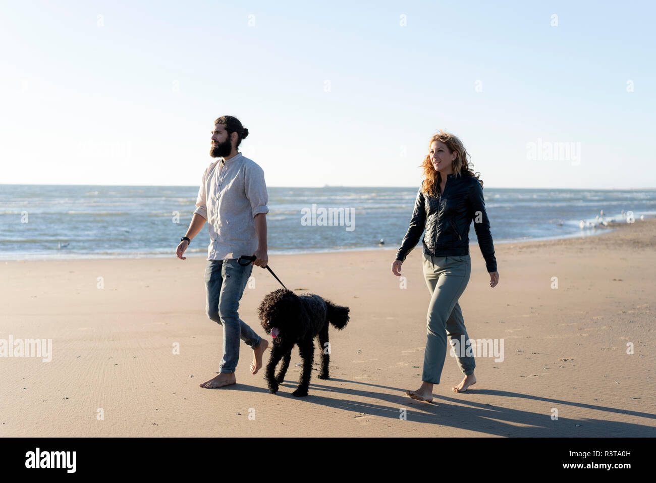 Young couple walking with their dog on the beach Stock Photo - Alamy