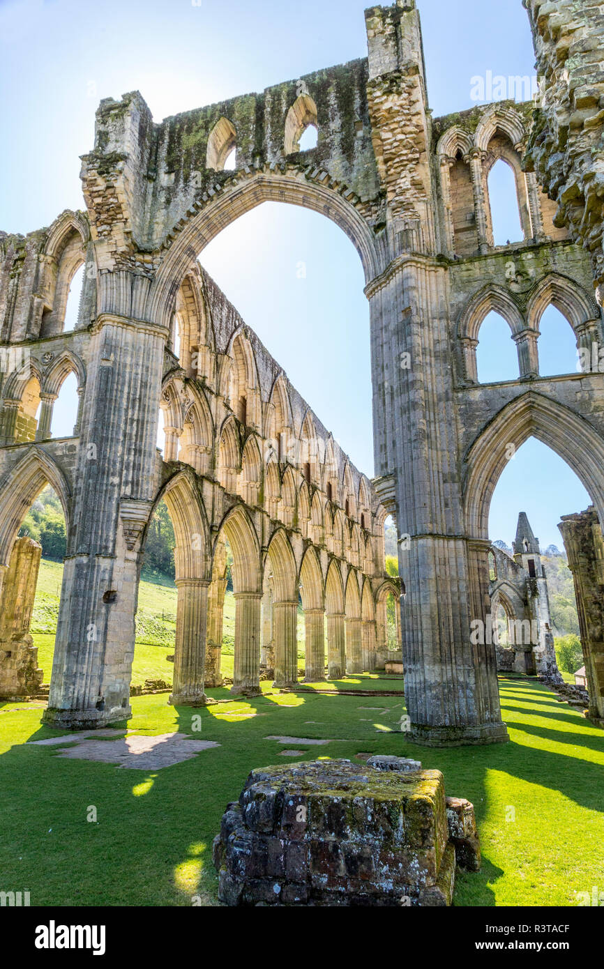 England, North Yorkshire, Rievaulx. 13th c. Cistercian ruins of Rievaulx Abbey. English Heritage and National Trust Site. Near River Rye. Stock Photo
