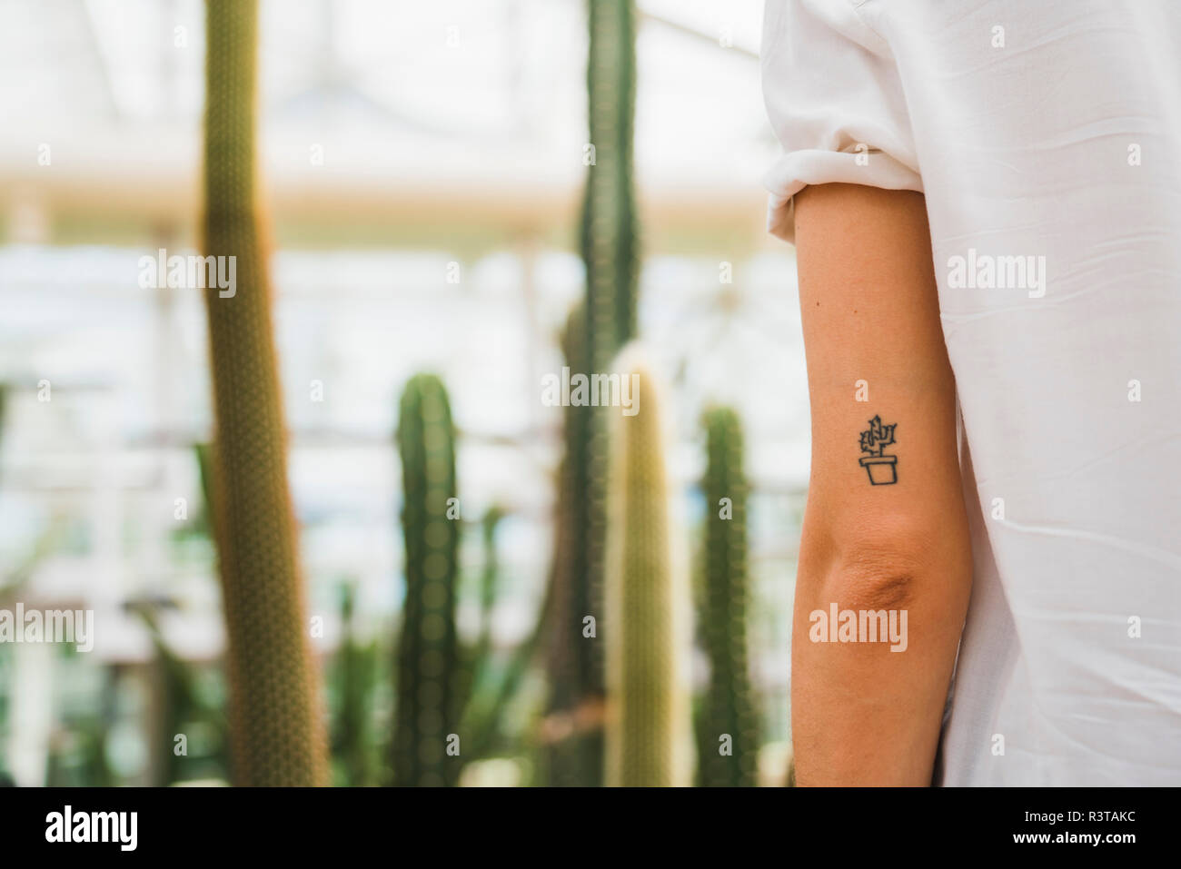 snake 3d tattoo - Buscar con Google  Snake tattoo design, Snake tattoo,  Tattoo work