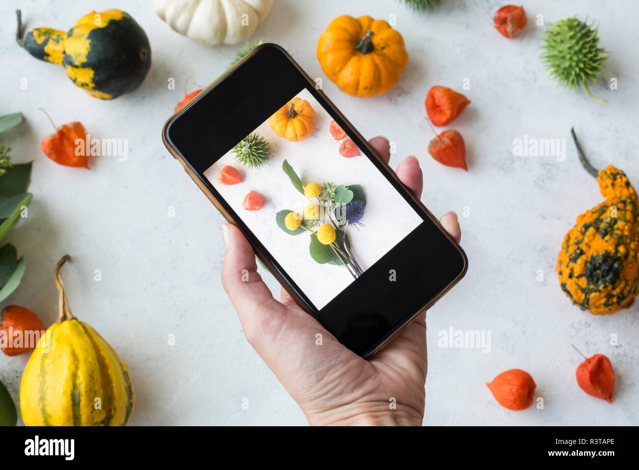 Autumnal decoration, ornamental pumpkins, woman taking photo with smartphone Stock Photo