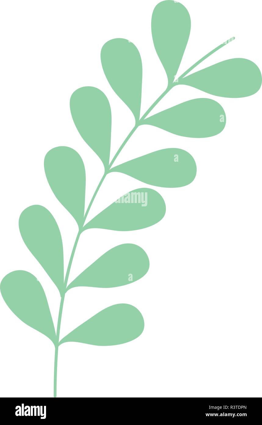 branch with leafs plant vector illustration design Stock Vector Image ...