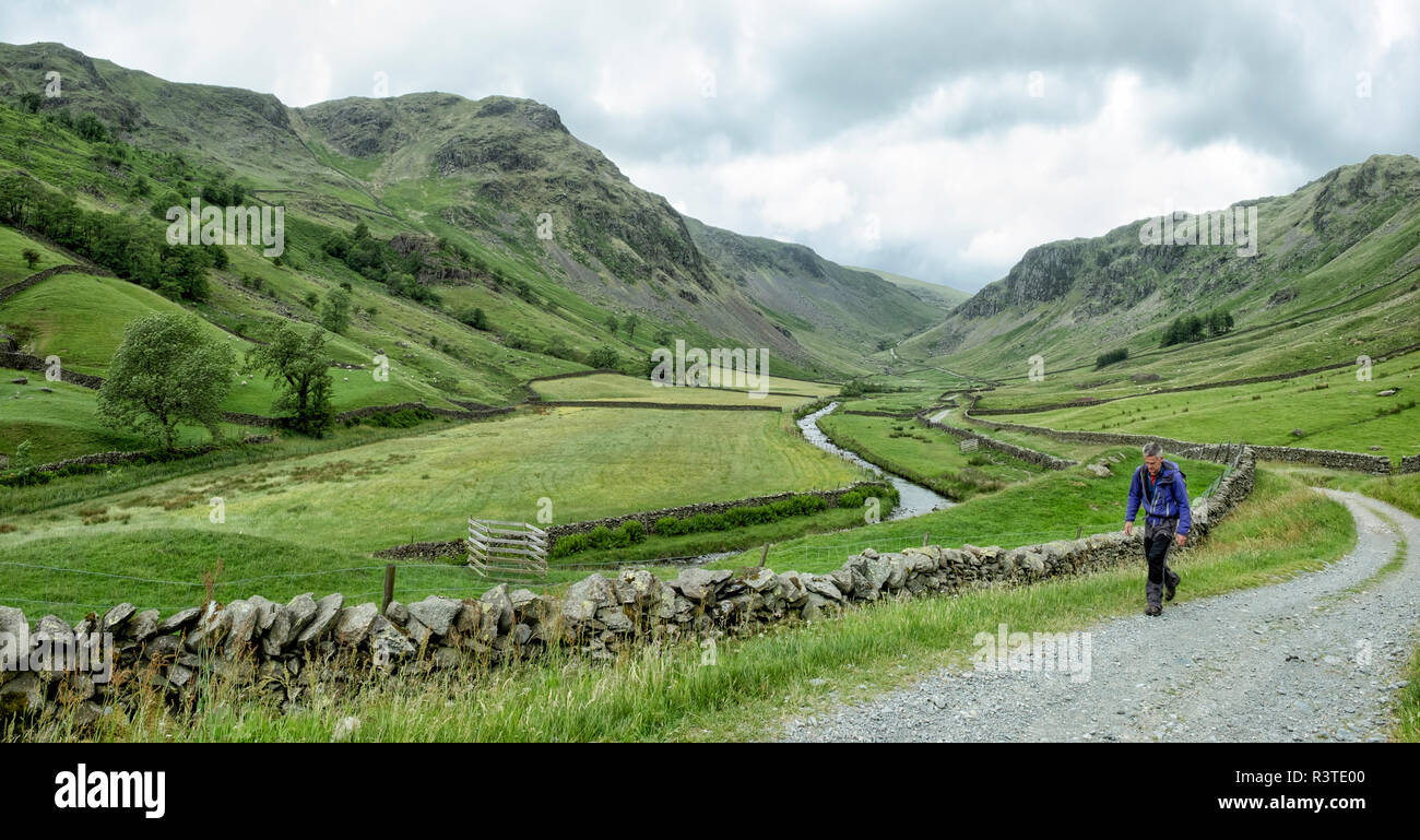 UK, Lake District, Longsleddale valley, mature man walking on field path in rural landscape Stock Photo