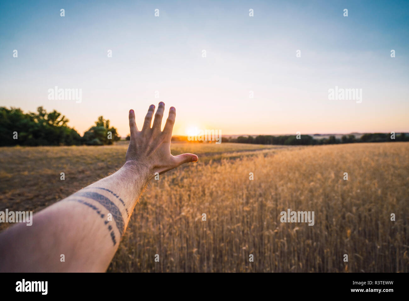 Man's hand reaching for evening sun Stock Photo