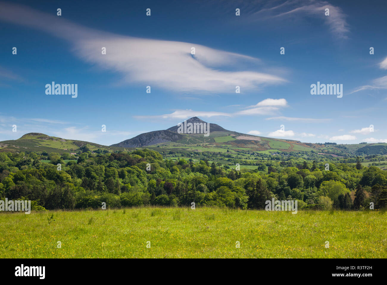 Ireland, County Wicklow, Enniskerry, Powerscourt Estate, landscape with